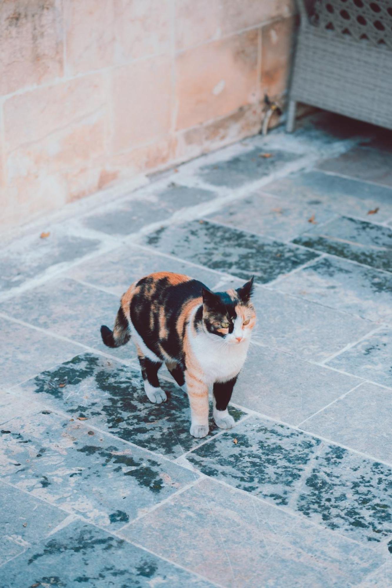 Narli Ev Butik Otel Sanliurfa Luaran gambar